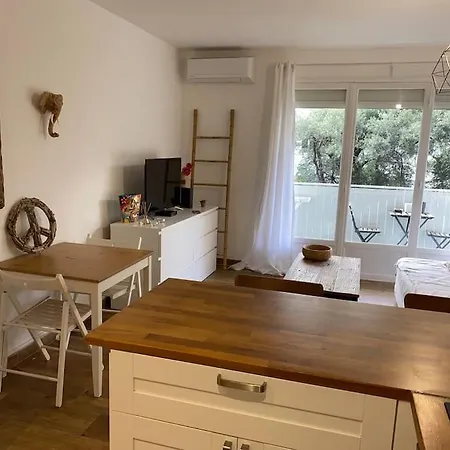 Studio Cosy Avec Coin Nuit *